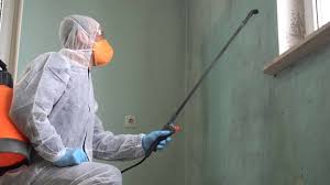 Yelm, WA Mold Prevention & Removal  Company